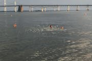 Annapolis: Schwimmen im Sandy Point State Park