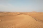 Dubai: Day tour in the desert
