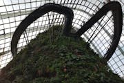 Marina Gardens Drive, Flower Dome, Singapore
