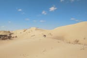 Elsen Tasarkhai (Sand Dune Mini Gobi), Mongolia